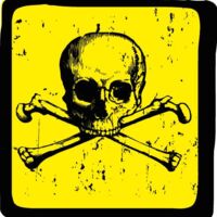 T Shirts by David Thumbnail